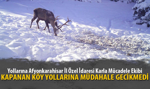 YEM İÇİN KIYASIYA YARIŞTILAR