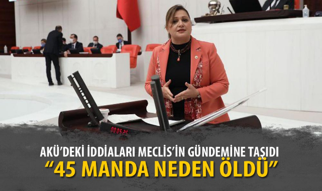 “45 MANDA NEDEN ÖLDÜ”