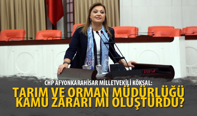 AFYON TARIM VE ORMAN MÜDÜRLÜĞÜ KAMU ZARARI MI OLUŞTURDU?
