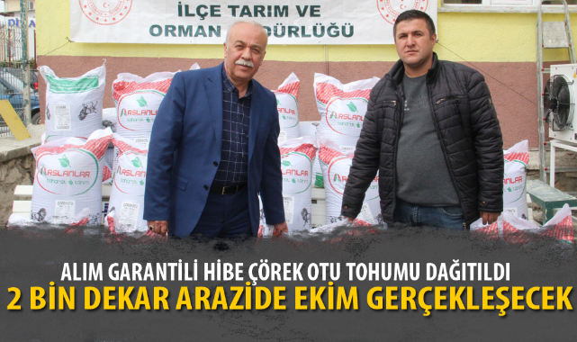 ALIM GARANTİLİ HİBE ÇÖREK OTU TOHUMU DAĞITILDI