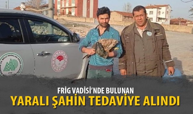 FRİG VADİSİ’NDE BULUNAN YARALI ŞAHİN TEDAVİYE ALINDI