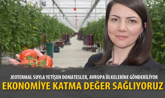 JEOTERMAL SUYLA YETİŞEN DOMATESLER, AVRUPA ÜLKELERİNE GÖNDERİLİYOR