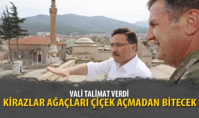KİRAZ AĞAÇLARI ÇİÇEK AÇMADAN MEYDAN BİTECEK