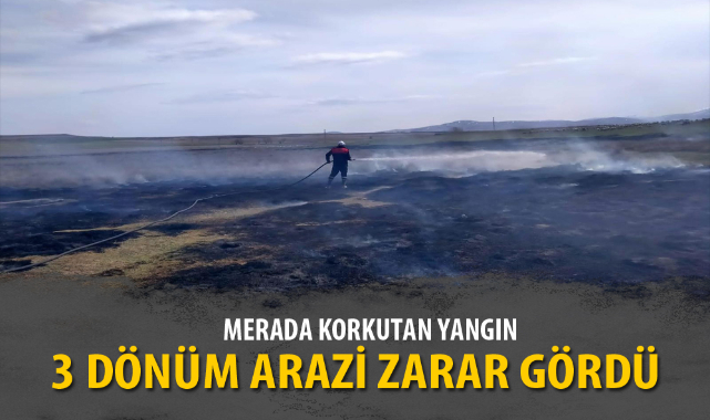 MERADA KORKUTAN YANGIN, 3 DÖNÜM ARAZİ ZARAR GÖRDÜ