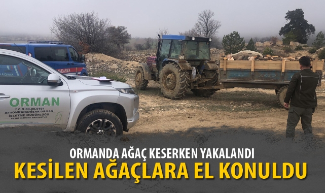 ORMANDA AĞAÇ KESERKEN YAKALANDI