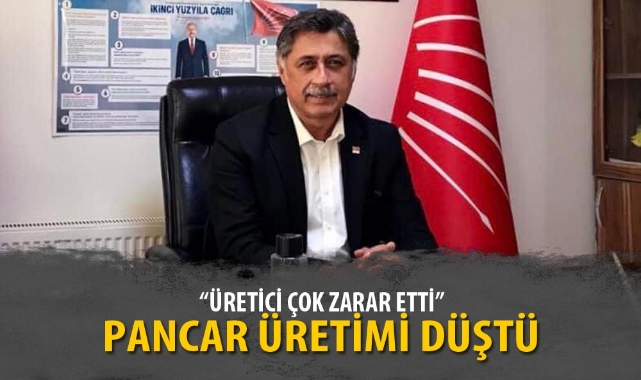PANCAR ÜRETİMİ DÜŞTÜ