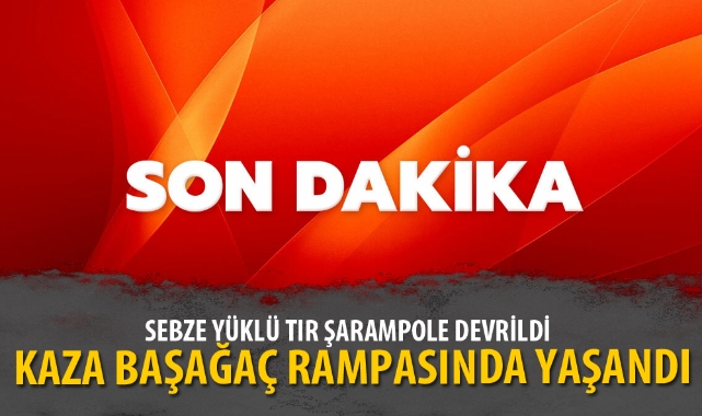 SEBZE YÜKLÜ TIR ŞARAMPOLE DEVRİLDİ