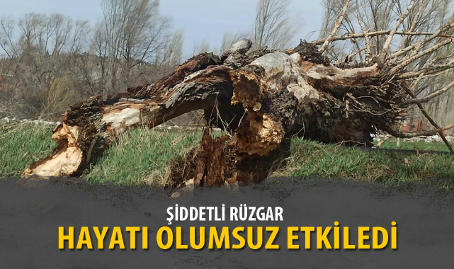 Şiddetli rüzgar Afyonkarahisar'da hayatı olumsuz etkiledi