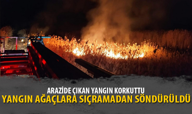 YANGIN AĞAÇLARA SIÇRAMADAN SÖNDÜRÜLDÜ