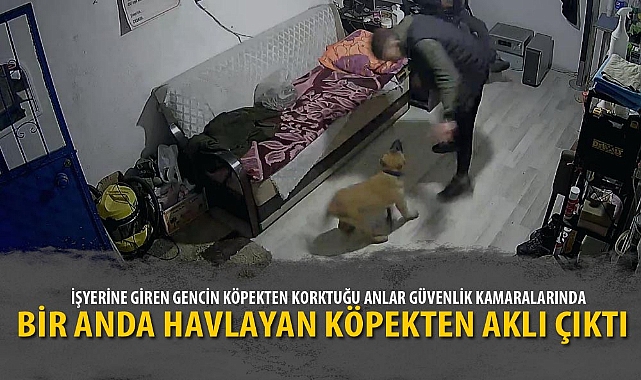 BİR ANDA HAVLAYAN KÖPEKTEN AKLI ÇIKTI