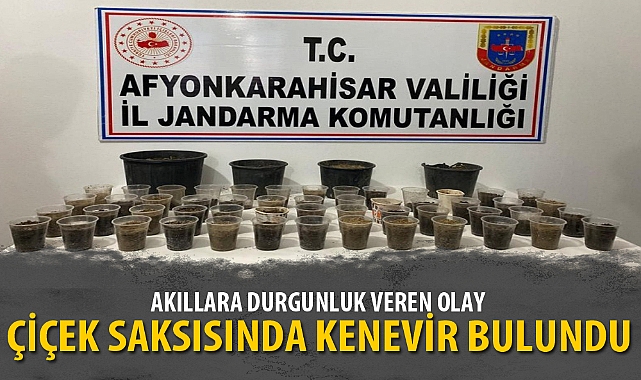 ÇİÇEK SAKSISINDA KENEVİR BULUNDU