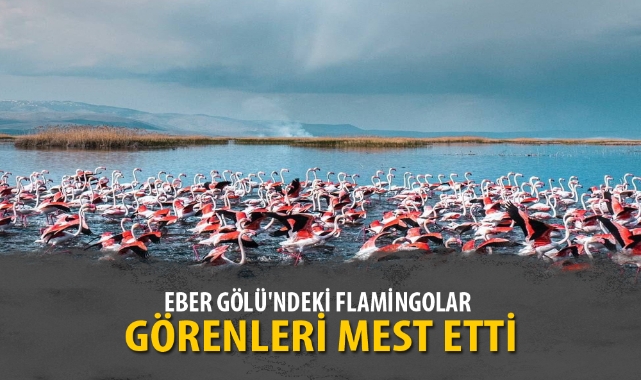 EBER GÖLÜ'NDEKİ FLAMİNGOLAR GÖRENLERİ MEST ETTİ
