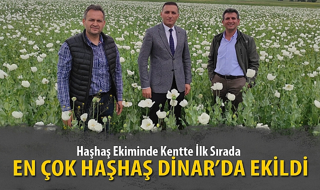 EN ÇOK HAŞHAŞ DİNAR’DA EKİLDİ