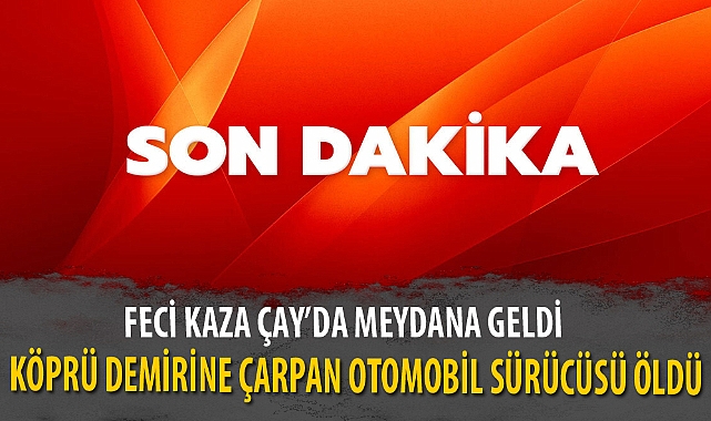 KÖPRÜ DEMİRİNE ÇARPAN OTOMOBİL SÜRÜCÜSÜ ÖLDÜ