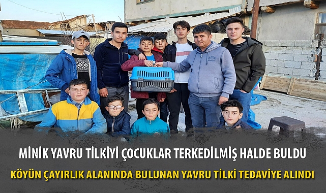 MİNİK YAVRU TİLKİYİ ÇOCUKLAR TERKEDİLMİŞ HALDE BULDU