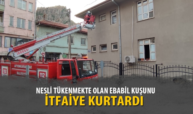 NESLİ TÜKENMEKTE OLAN EBABİL KUŞUNU İTFAİYE KURTARDI