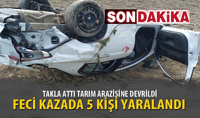 TAKLA ATTI TARIM ARAZİSİNE DEVRİLDİ