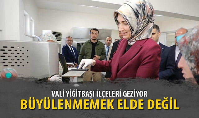 VALİ YİĞİTBAŞI İLÇELERİ GEZİYOR