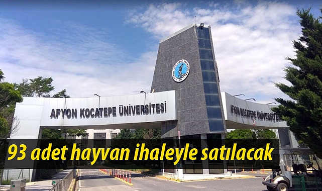 63 adet küçükbaş ile 30 adet büyükbaş satılacak