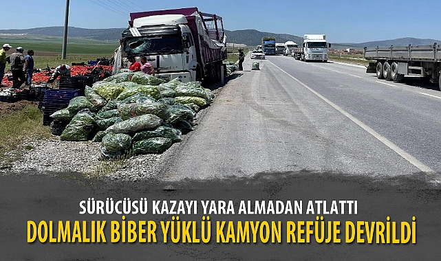 DOLMALIK BİBER YÜKLÜ KAMYON REFÜJE DEVRİLDİ