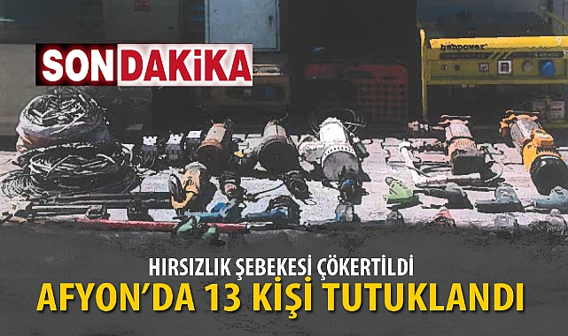 HIRSIZLIK ŞEBEKESİ ÇÖKERTİLDİ