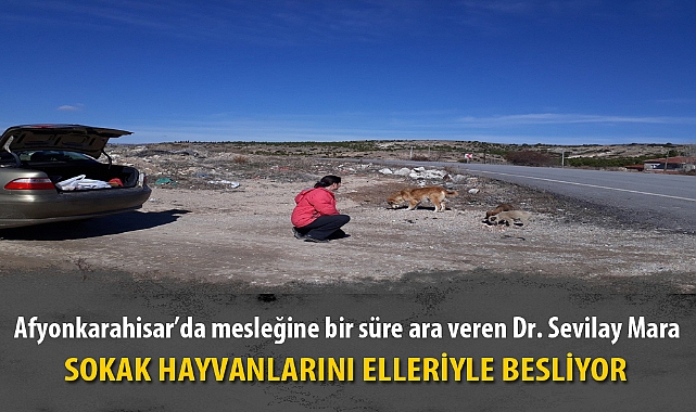 SOKAK HAYVANLARINI ELLERİYLE BESLİYOR