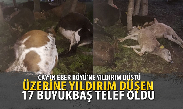 ÜZERİNE YILDIRIM DÜŞEN 17 BÜYÜKBAŞ TELEF OLDU