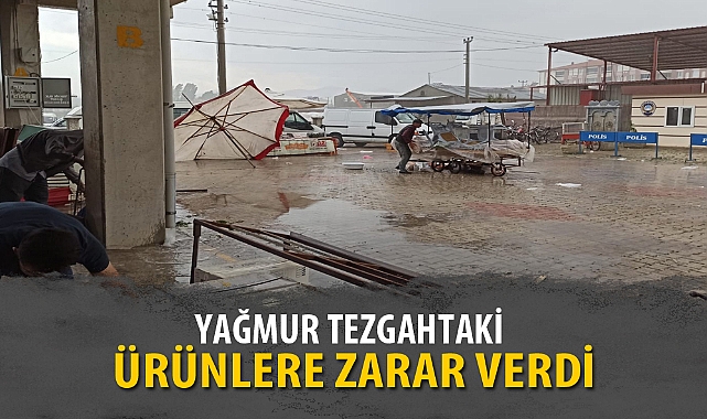 YAĞMUR TEZGAHTAKİ ÜRÜNLERE ZARAR VERDİ