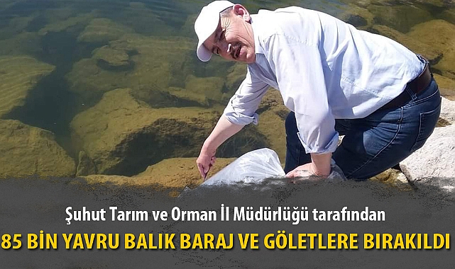 85 BİN YAVRU BALIK BARAJ VE GÖLETLERE BIRAKILDI
