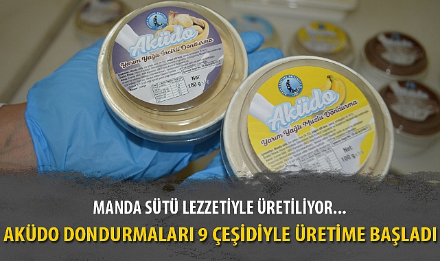 AKÜDO DONDURMALARI 9 ÇEŞİDİYLE ÜRETİME BAŞLADI