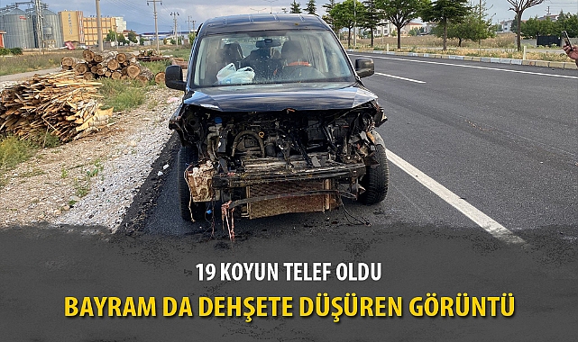 BAYRAM DA DEHŞETE DÜŞÜREN GÖRÜNTÜ