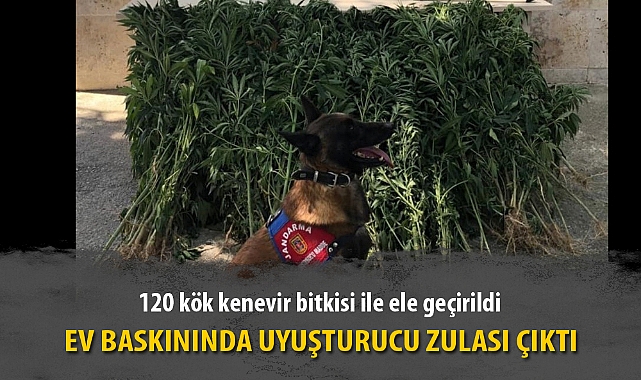 EV BASKININDA UYUŞTURUCU ZULASI ÇIKTI