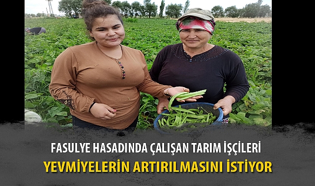 FASULYE HASADINDA ÇALIŞAN TARIM İŞÇİLERİ YEVMİYELERİN ARTIRILMASINI İSTİYOR