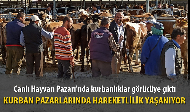KURBAN PAZARLARINDA HAREKETLİLİK YAŞANIYOR