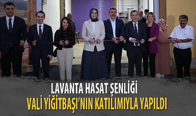 LAVANTA HASAT ŞENLİĞİ VALİ YİĞİTBAŞI’NIN KATILIMIYLA YAPILDI