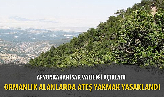 ORMANLIK ALANLARDA ATEŞ YAKMAK YASAKLANDI