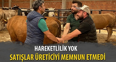 SATIŞLAR ÜRETİCİYİ MEMNUN ETMEDİ
