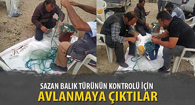 SAZAN BALIK TÜRÜNÜN KONTROLÜ İÇİN AVLANMAYA ÇIKTILAR