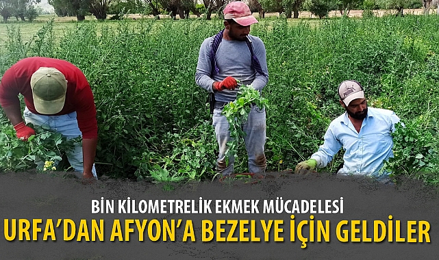 URFA’DAN AFYON’A BEZELYE İÇİN GELDİLER