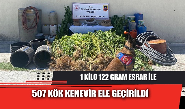 1 KİLO 122 GRAM ESRAR İLE 507 KÖK KENEVİR ELE GEÇİRİLDİ