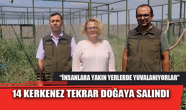 14 KERKENEZ TEKRAR DOĞAYA SALINDI