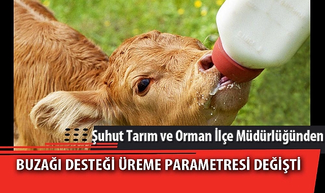 BUZAĞI DESTEĞİ ÜREME PARAMETRESİ DEĞİŞTİ