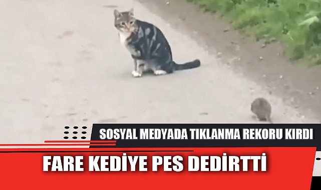 FARE KEDİYE PES DEDİRTTİ