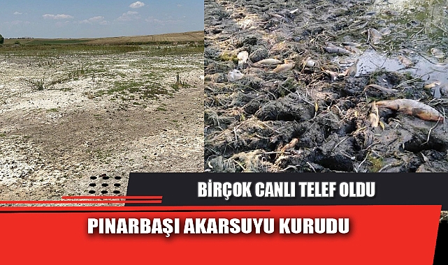 PINARBAŞI AKARSUYU KURUDU
