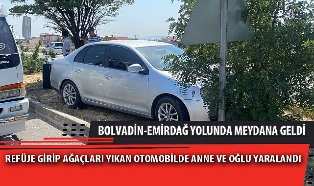 REFÜJE GİRİP AĞAÇLARI YIKAN OTOMOBİLDE ANNE VE OĞLU YARALANDI