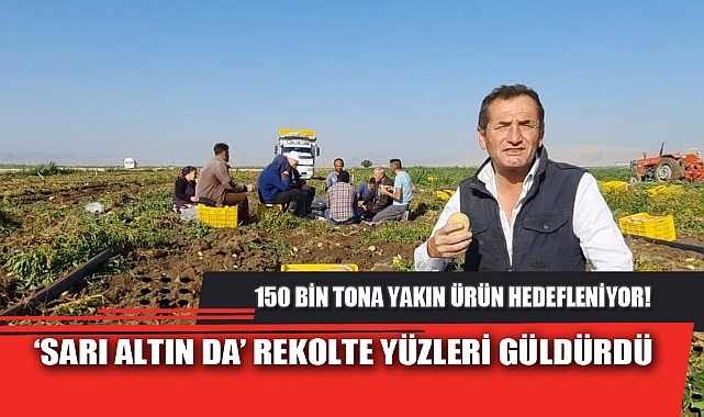 'SARI ALTIN DA' REKOLTE YÜZLERİ GÜLDÜRDÜ