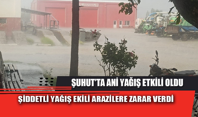ŞİDDETLİ YAĞIŞ EKİLİ ARAZİLERE ZARAR VERDİ
