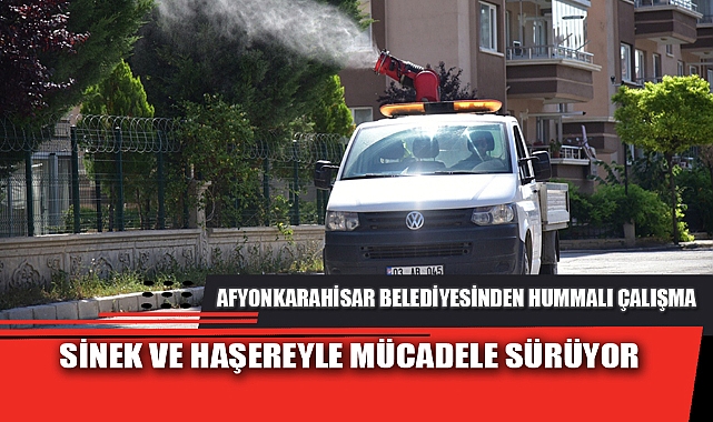 SİNEK VE HAŞEREYLE MÜCADELE SÜRÜYOR