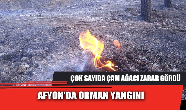 AFYON’DA ORMAN YANGINI