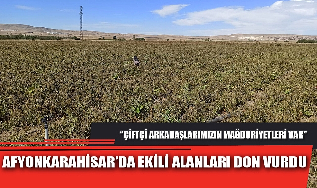 AFYONKARAHİSAR’DA EKİLİ ALANLARI DON VURDU
